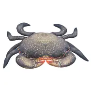 Gaby Polštář Krab bahenní 60cm