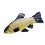 Gaby Polštář Lín obecný 60cm
