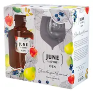 G'Vine June Gin Peach 37,5% 0,7 l (dárkové balení 1 sklenička)