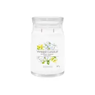 Yankee Candle Signature Midnight Jasmine velká sklenice 567g / doba hoření až: 90h
