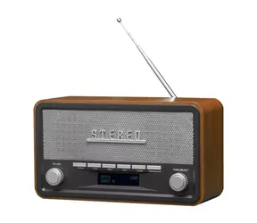 Radiobudíky