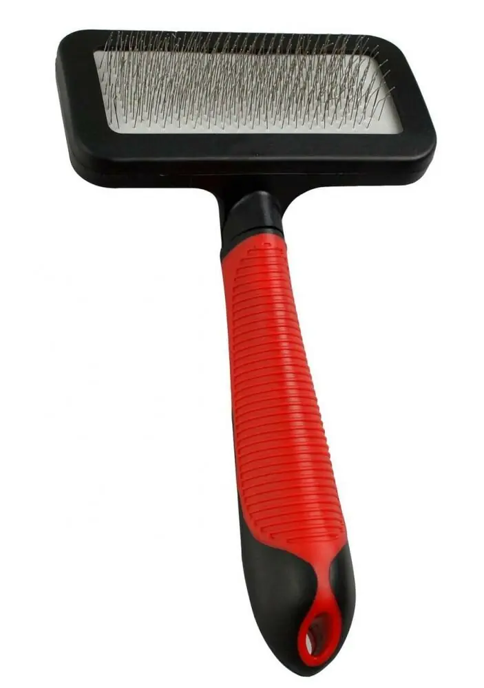 Hygiena psů
